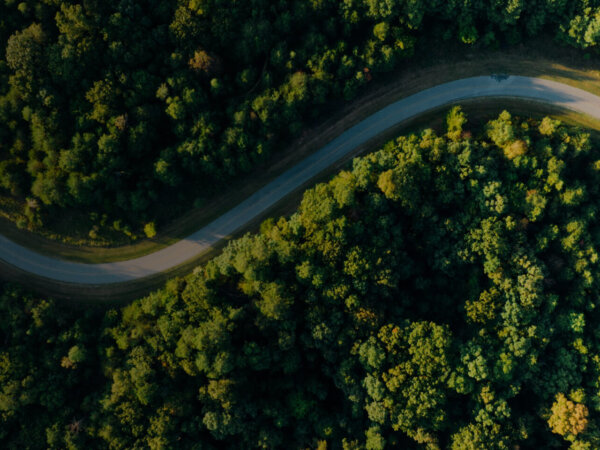 A curving road surrounded by trees