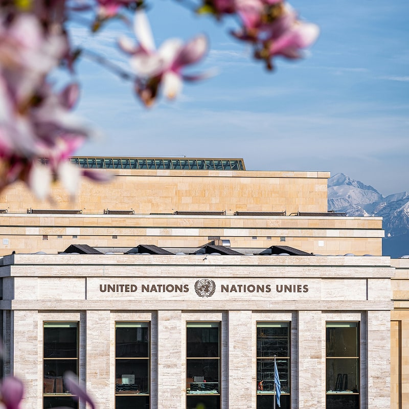The top of the United Nations building appearing through blurred leaves.